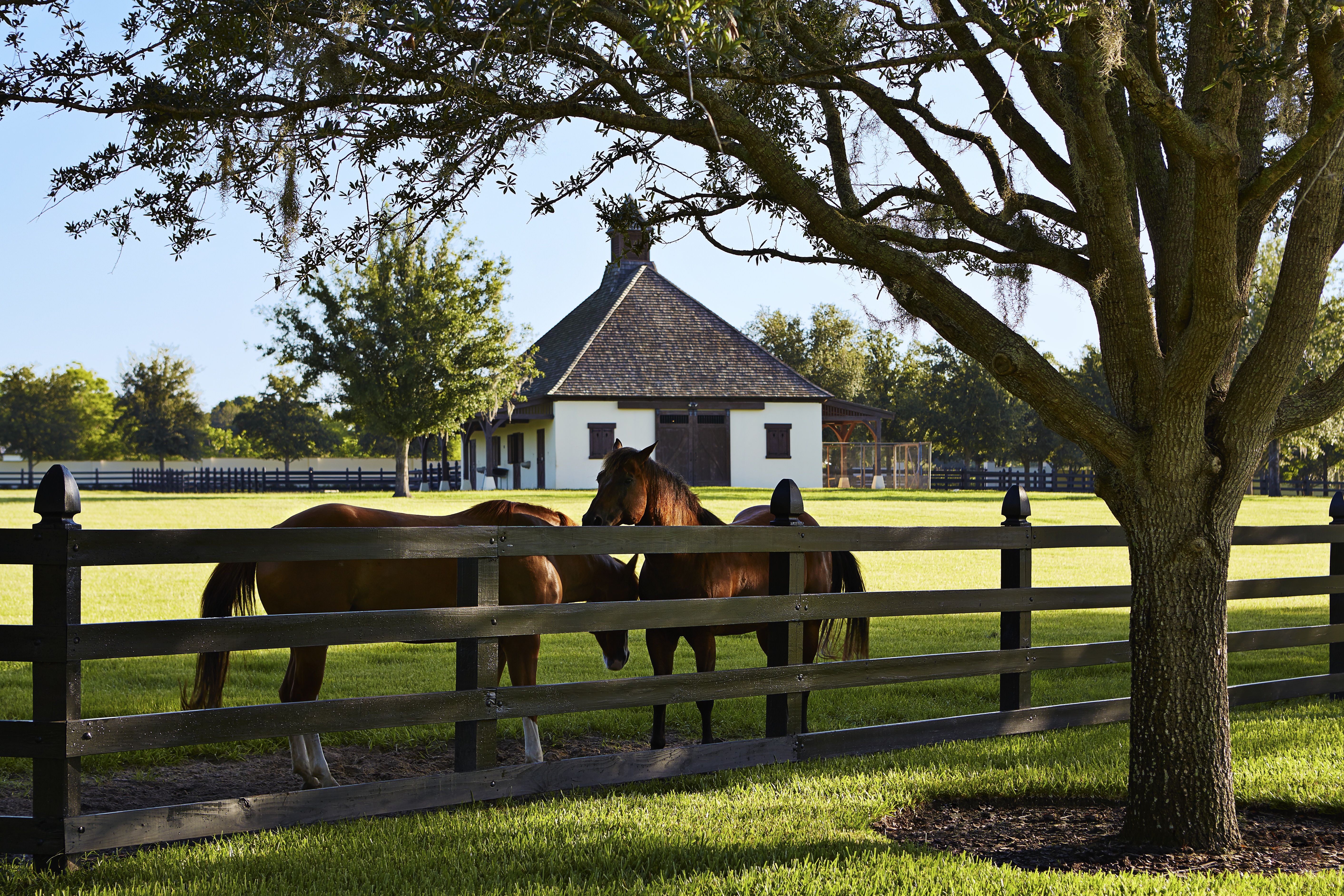 Land and Horses